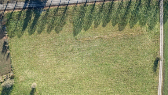 Rue de la Copette - LOT 2 - - 6660