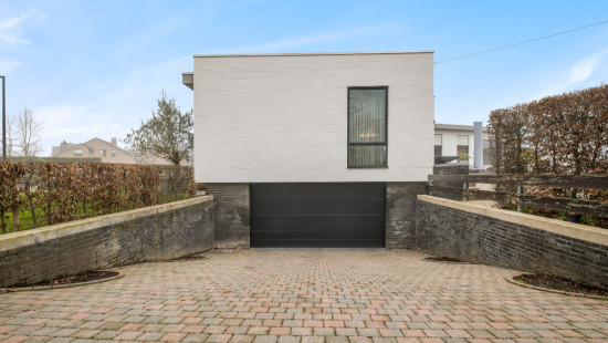 Ringlaan - 175 - - 1745