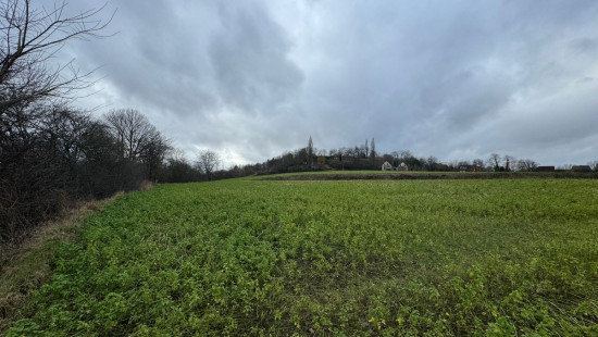 Zavelputstraat - zn - - 30 H - 3012