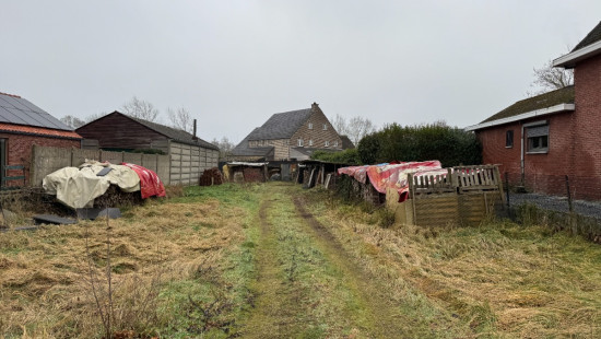 Donkerstraat - 20 - - 3900