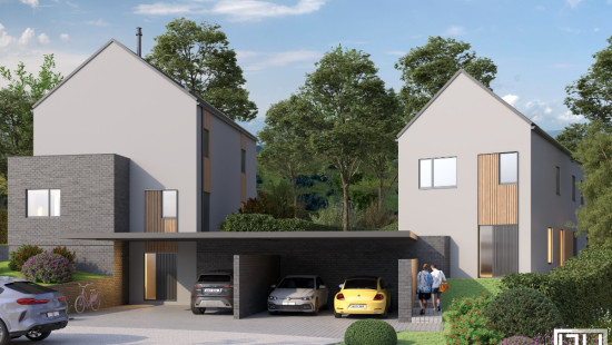 Rue du Vieux Chemin - Erable - - 1495