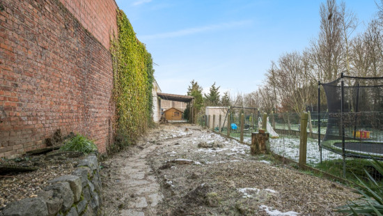 Langhalsbeekstraat - 31 - - 9100