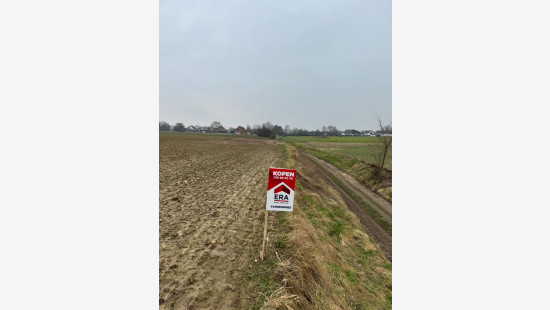 Zavelputstraat - Bosveld - - 3012