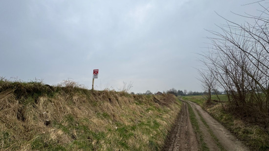 Zavelputstraat - Bosveld - - 3012