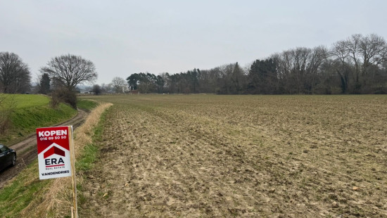 Zavelputstraat - Bosveld - - 3012