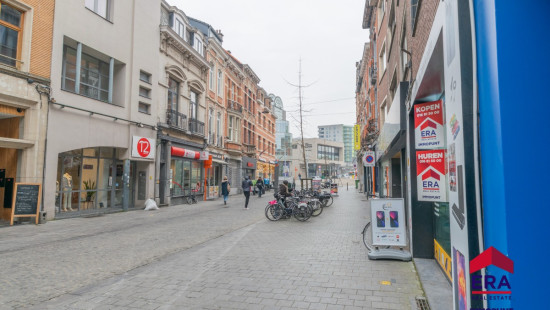 Diestsestraat - 238 - 2 - 3000