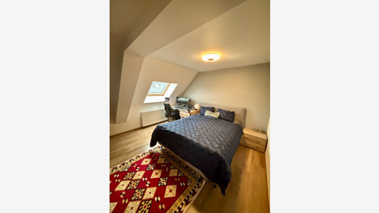 Lauwbergstraat - 18 - - 8930