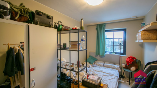 Geelstraat - 78 - - 3800