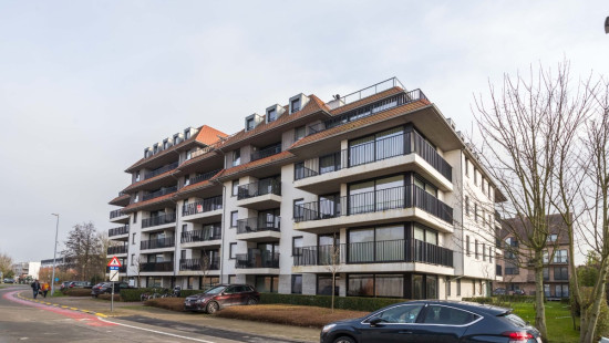 Zuidstraat - 31 - 102 - 8530