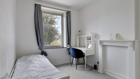 Kasteelstraat - 13 - - 3300