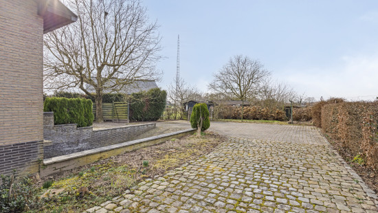 Grote Hoolstraat - 100 - - 3540