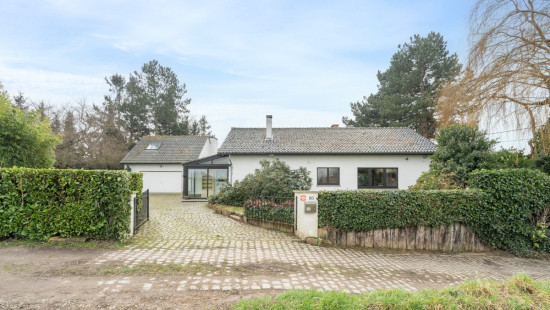 Zijpstraat - 80 - - 1851