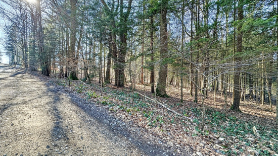 Drève Saint-Lambert - 1 - LOT1 - 4052