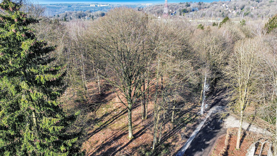 Drève Saint-Lambert - 1 - LOT2 - 4052