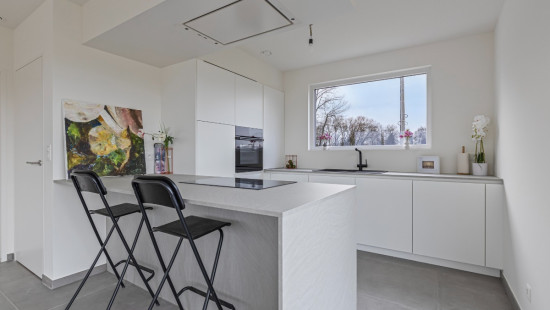 Blauwe-Zwaanstraat - 61 - - 8790