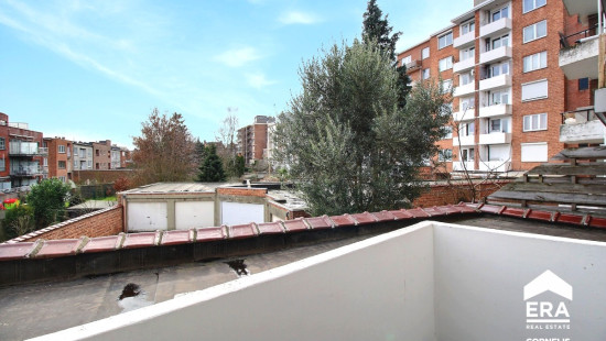 Rue de la Belle au Bois Dormant - 13 - 1 - 1080