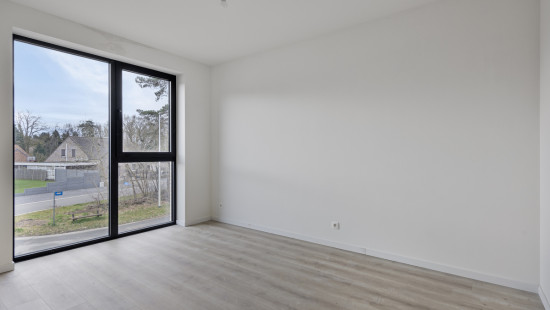 Bieweg - 69 - - 3582