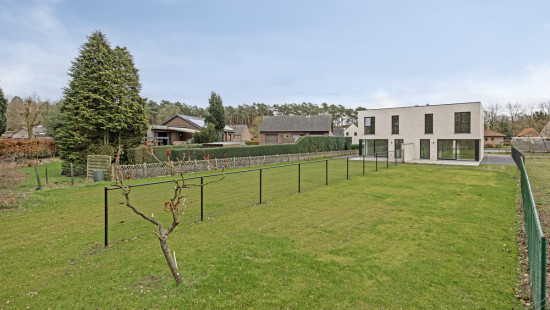 Bieweg - 69 - - 3582