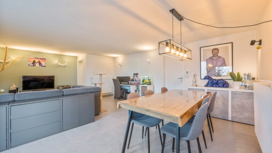 Romain Steppestraat - 82 - - 2890
