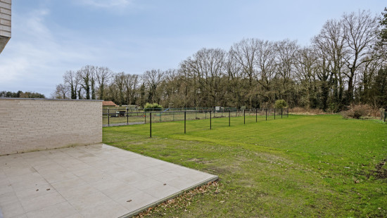 Bieweg - 69 - - 3582