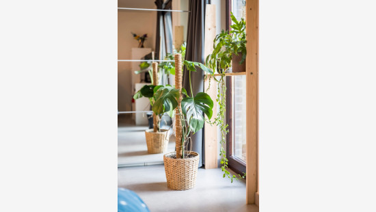 Romain Steppestraat - 82 - - 2890