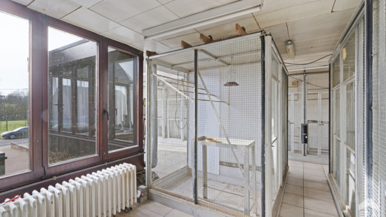 Fazantenstraat - 7 - - 3500