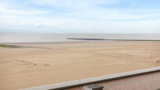 Zeedijk - 42 - 0201 - 8420