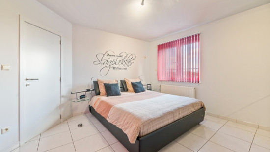 Daniël Baginierlaan - 14 - - 2660