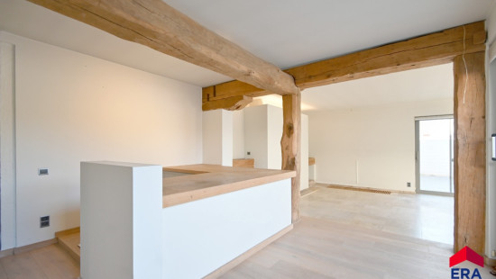Gentse Steenweg - 223 - - 9990