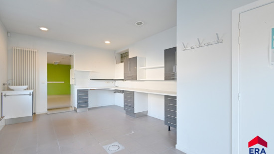 Gentse Steenweg - 223 - - 9990