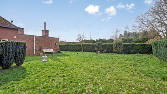 Looystraat - 5 - - 2560