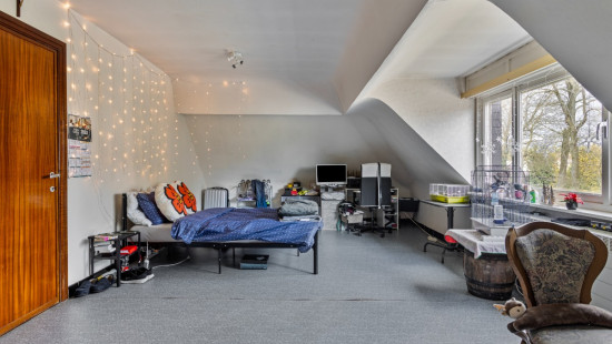 Looystraat - 5 - - 2560