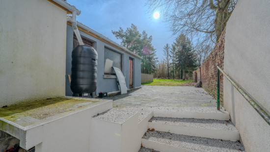 Rue Mathieu de Lexhy - 233 - - 4460