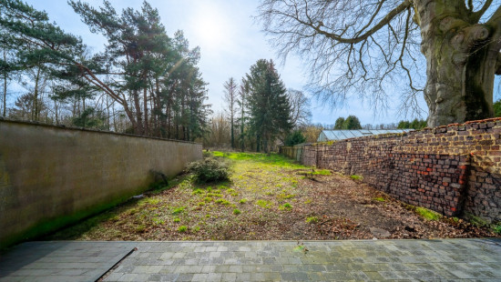 Rue Mathieu de Lexhy - 233 - - 4460
