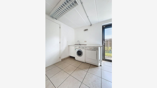 rue du doyard - 22 - - 4141