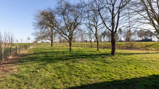 Moershoofde - 1 - - 9980
