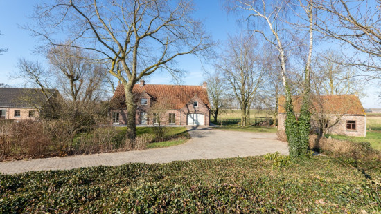 Moershoofde - 1 - - 9980