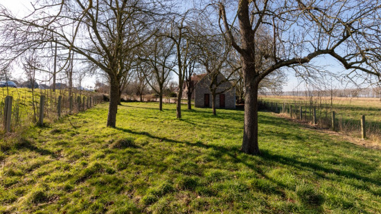 Moershoofde - 1 - - 9980