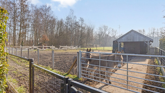 Liersesteenweg - 478 - - 2800