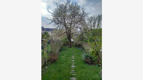 Verdunstraat - rue de Verdun - 369 - - 1130