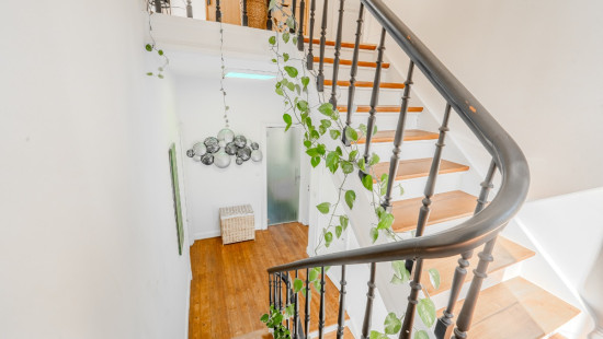 Avenue Albert 1er - 35 - - 5070