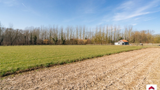 Velm - ZN - - B206/00L2 (HET ZAK) - 1730