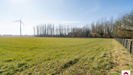 Velm - ZN - - B206/00L2 (HET ZAK) - 1730