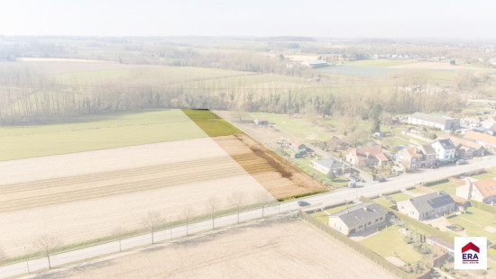 Velm - ZN - - B206/00L2 (HET ZAK) - 1730