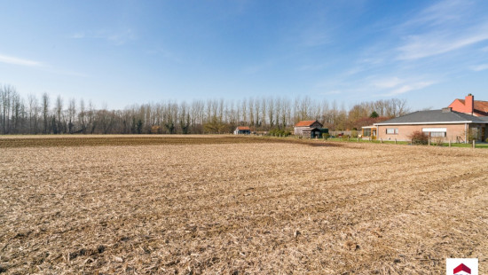 Velm - ZN - - B206/00L2 (HET ZAK) - 1730