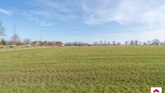 Velm - ZN - - B206/00L2 (HET ZAK) - 1730