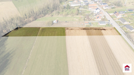 Velm - ZN - - B206/00L2 (HET ZAK) - 1730