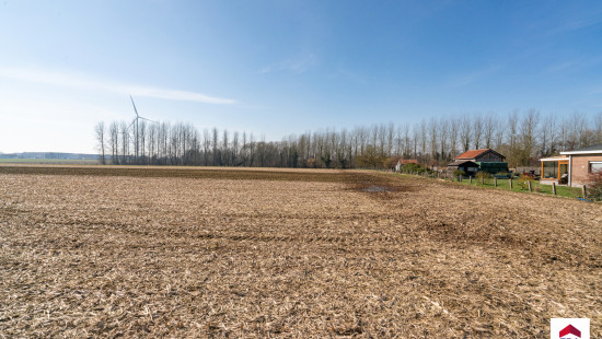 Velm - ZN - - B206/00L2 (HET ZAK) - 1730