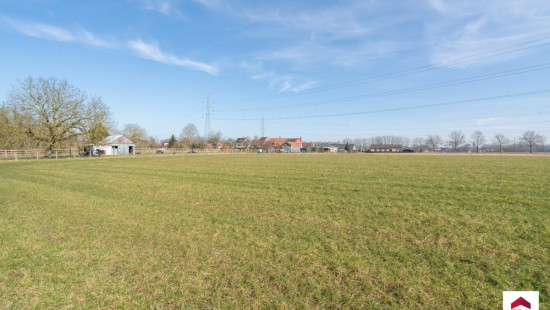 Velm - ZN - - B206/00L2 (HET ZAK) - 1730