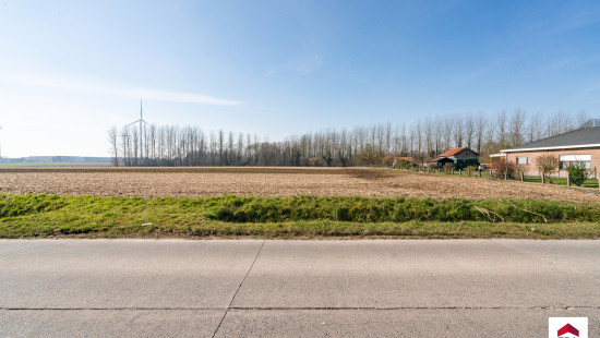 Velm - ZN - - B206/00L2 (HET ZAK) - 1730
